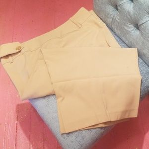 Ashley Stewart beige dress casual capris